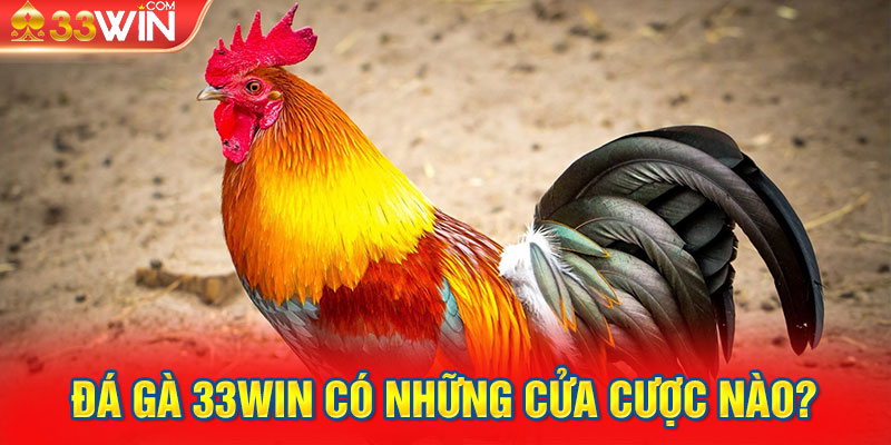 Đá gà 33Win có những cửa cược nào?