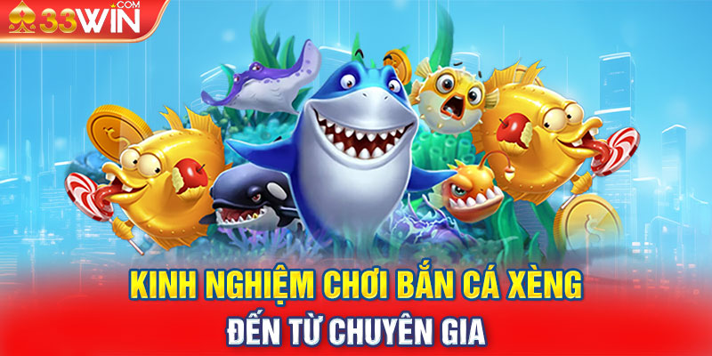 Kinh nghiệm chơi bắn cá xèng đến từ chuyên gia