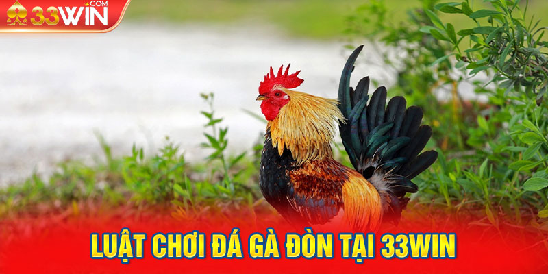 Luật chơi đá gà đòn tại 33Win